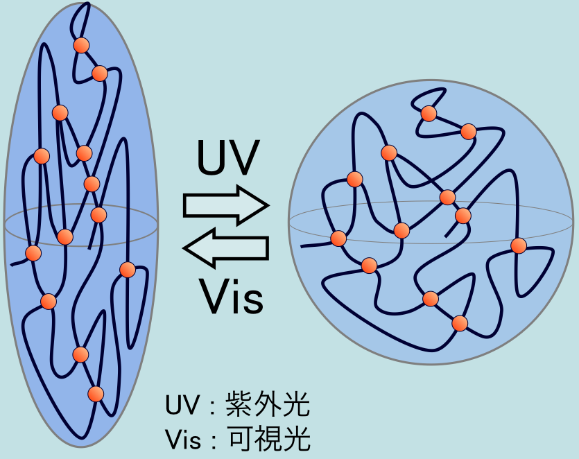 架橋フォトクロミック液晶高分子