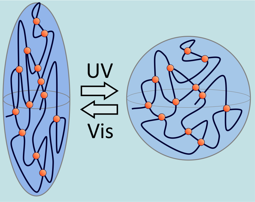 Crosslinked Photochromic Liquid-Crystalline Polymer